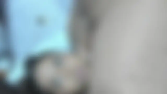 HarperAndMason – Kamerová šou