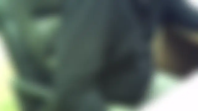 Show modela nikdov3 na web-kameri