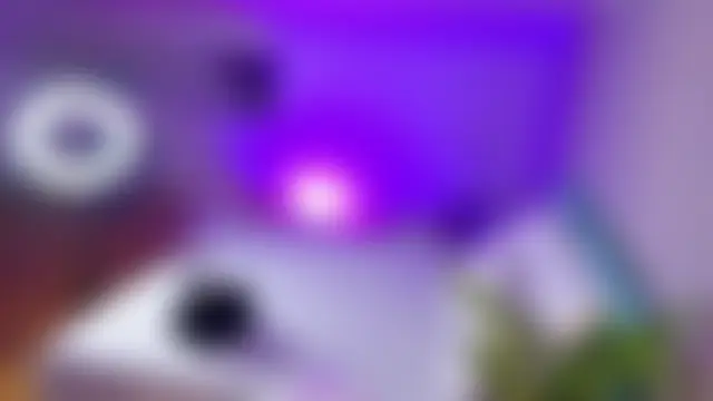 L1ittle_kitty_ 라이브 XXX 채팅