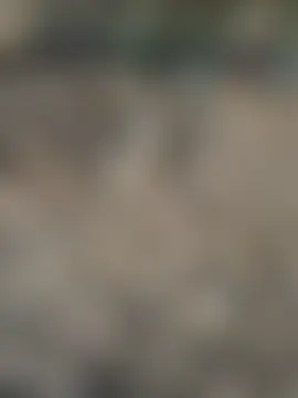 Miss__Malaika Webcam show