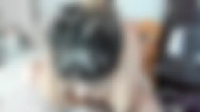 sweetemy4u 라이브 섹스 캠 쇼