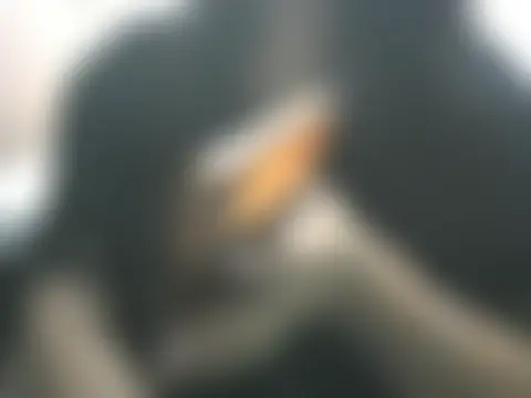 Bold-Richa's Webcam Show