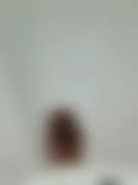 AlaskanCornponen Webbikameraesitys