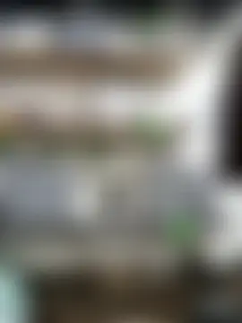 Sembang XXX Secara Langsung Tefannyy_