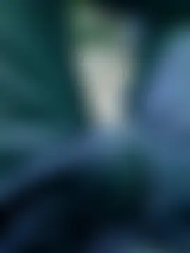 N-lSn Webbikameraesitys