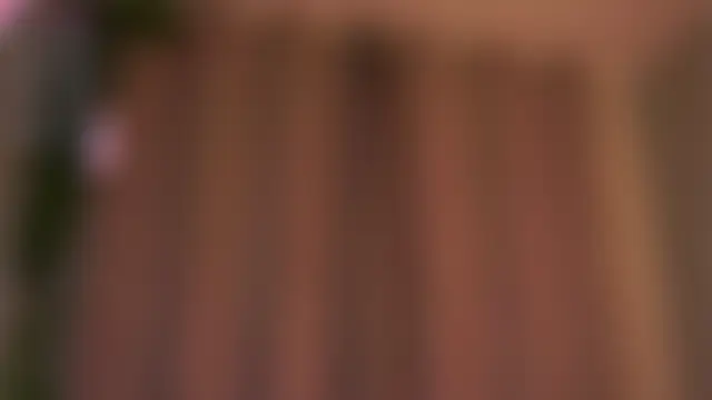 AmparoCilek Live XXX Chat