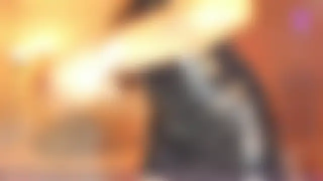 whitneyhot – live chatrum