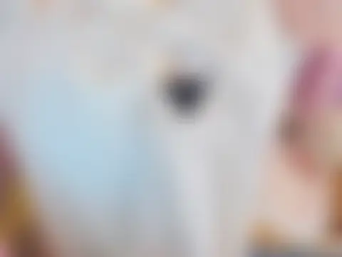 Anime901's Live XXX Chat