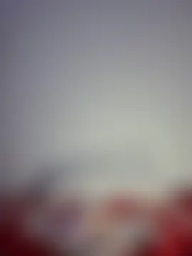 altinya: онлайн-чат