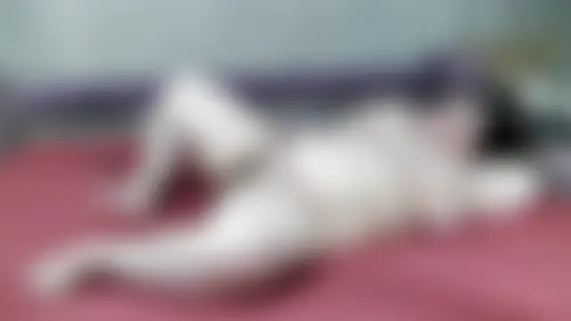 damn_angel66 Live Sex Cam-Show