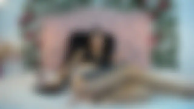 LucyCute_1 라이브 XXX 채팅