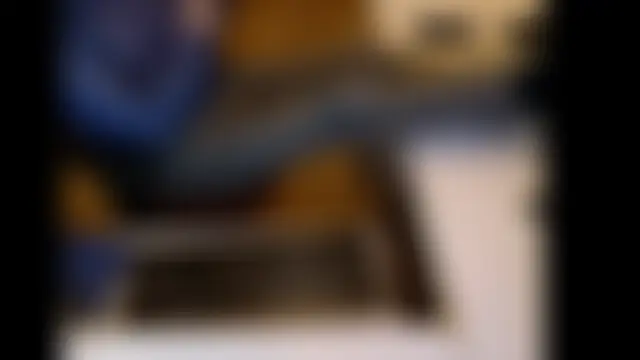 dutchpornking – Kamerová šou