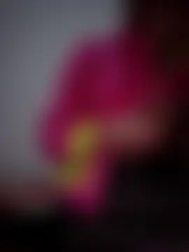 altinya Live chatroom