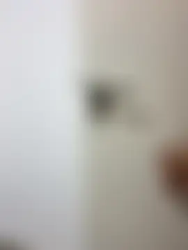 DimeAria 라이브 XXX 채팅