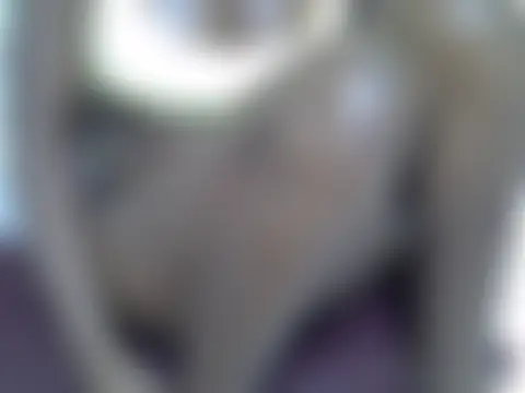 Twerlのライブチャットルーム