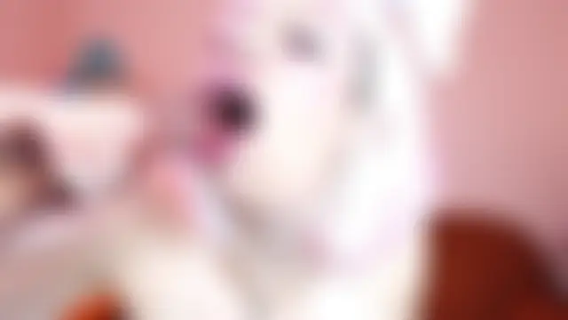 Sala de chat ao vivo de miss__wanda