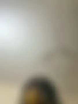 Playingsiblings Webcam-Show