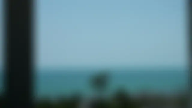 Special___: онлайн-чат