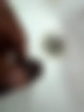 malluflash's Live Chat Room