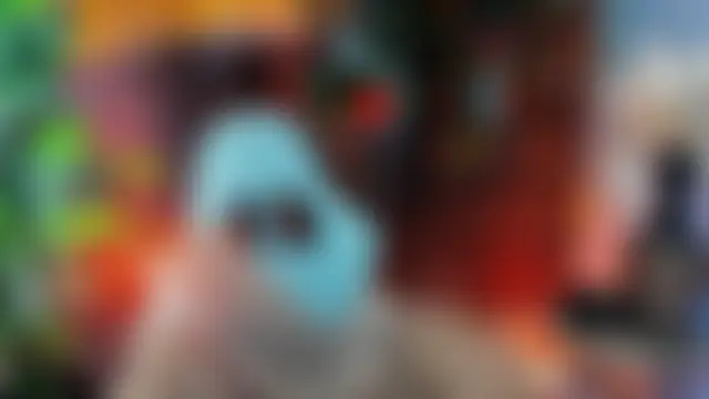 LidaDarknet webcam show