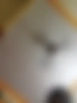 NishaNayakTelugu Webcamshow