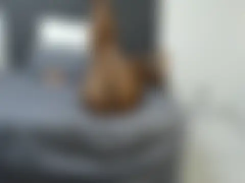 BootySoYummyX's Live XXX Chat