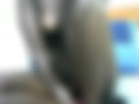 Show de webcam de shanycute1