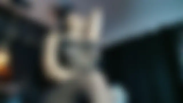 AlexHoe_ – Live XXX-chat