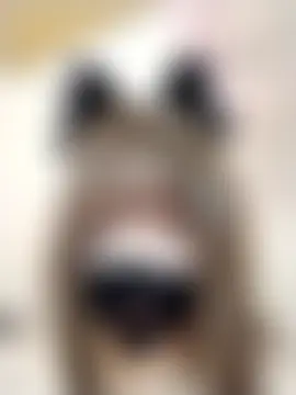 Jade69xx's Webcam Show