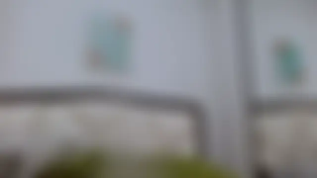 Pertunjukan Kamera Web Madison_Copers