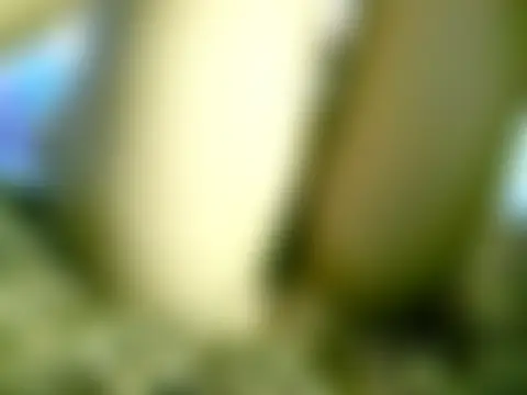 sweetvirginia01 Webcam Show