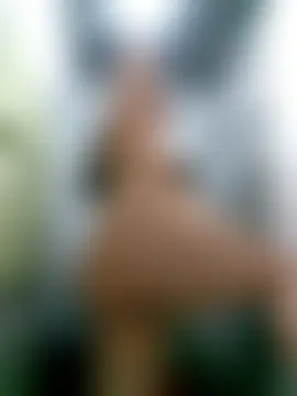 Chat +18 de xandra252 ao vivo