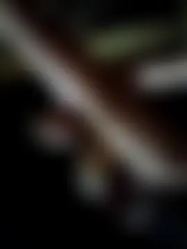 Zhan99999 网络视讯表演