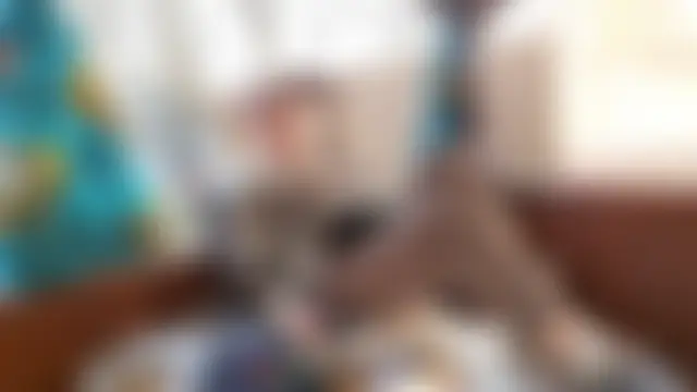 Show modela Vuitton na web-kameri