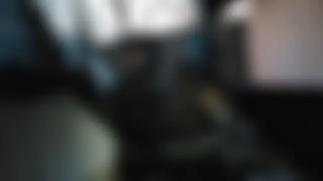 Show modela Vuitton na web-kameri