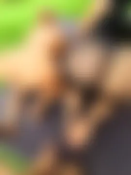 anita1976's Webcam Show