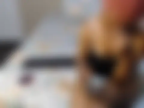 YourShySweetGal 在線直播表演