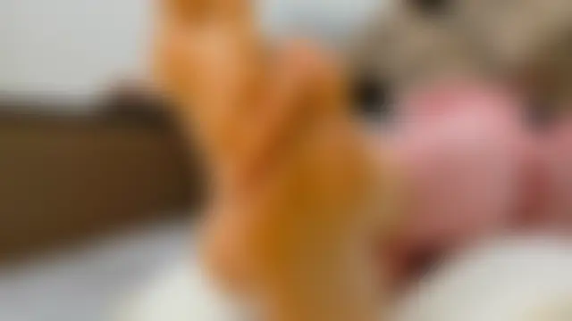 goddessagatha 라이브 XXX 채팅