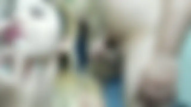 CamilaGirlAndTwoBoy webkamerás műsora