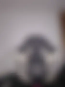 77Neferkitty77 Adlı Modelin Canlı XXX Sohbeti