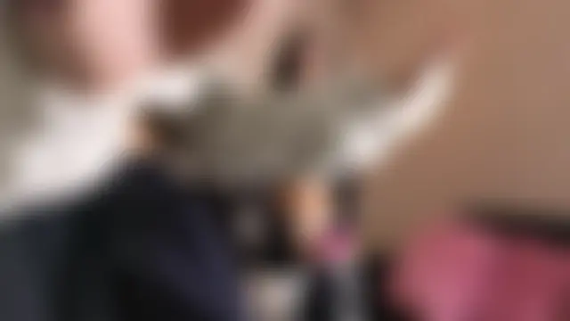 ela_petit: δωμάτιο απευθείας συνομιλίας