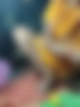 Sweet-runi Webcam Show