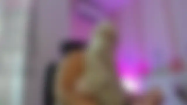 Samarahalsaudのウェブカメラショー