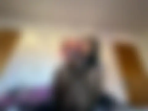 Phòng Chat Trực Tiếp LeBimbo