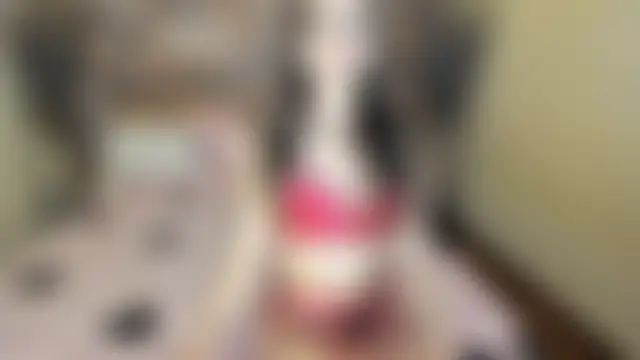 عرض كام Rebeka2589