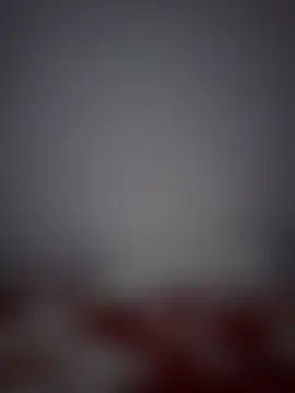 altinyaのウェブカメラショー