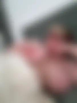 Fire__24-7 Webcam-Show