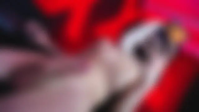 abrilbigcock – webcam-show