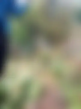 Alice-567 Live XXX-chat