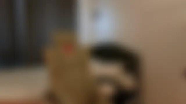 Sala de chat ao vivo de yourrdanceteacher